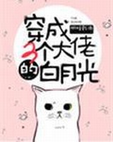 �����������еİ��¹�