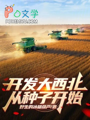 ���������������ӿ�ʼ