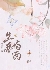 �С�����ָ��