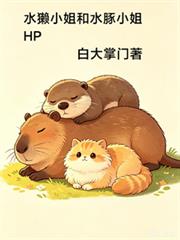 ˮ̡С���ˮ��С��HP