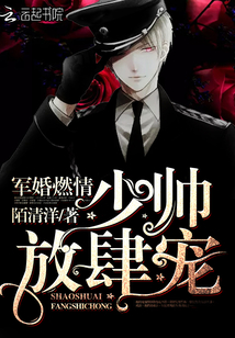 ����ȼ�飺��˧��������