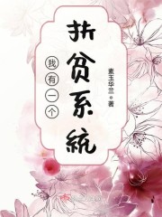 ����һ����ƶϵͳ